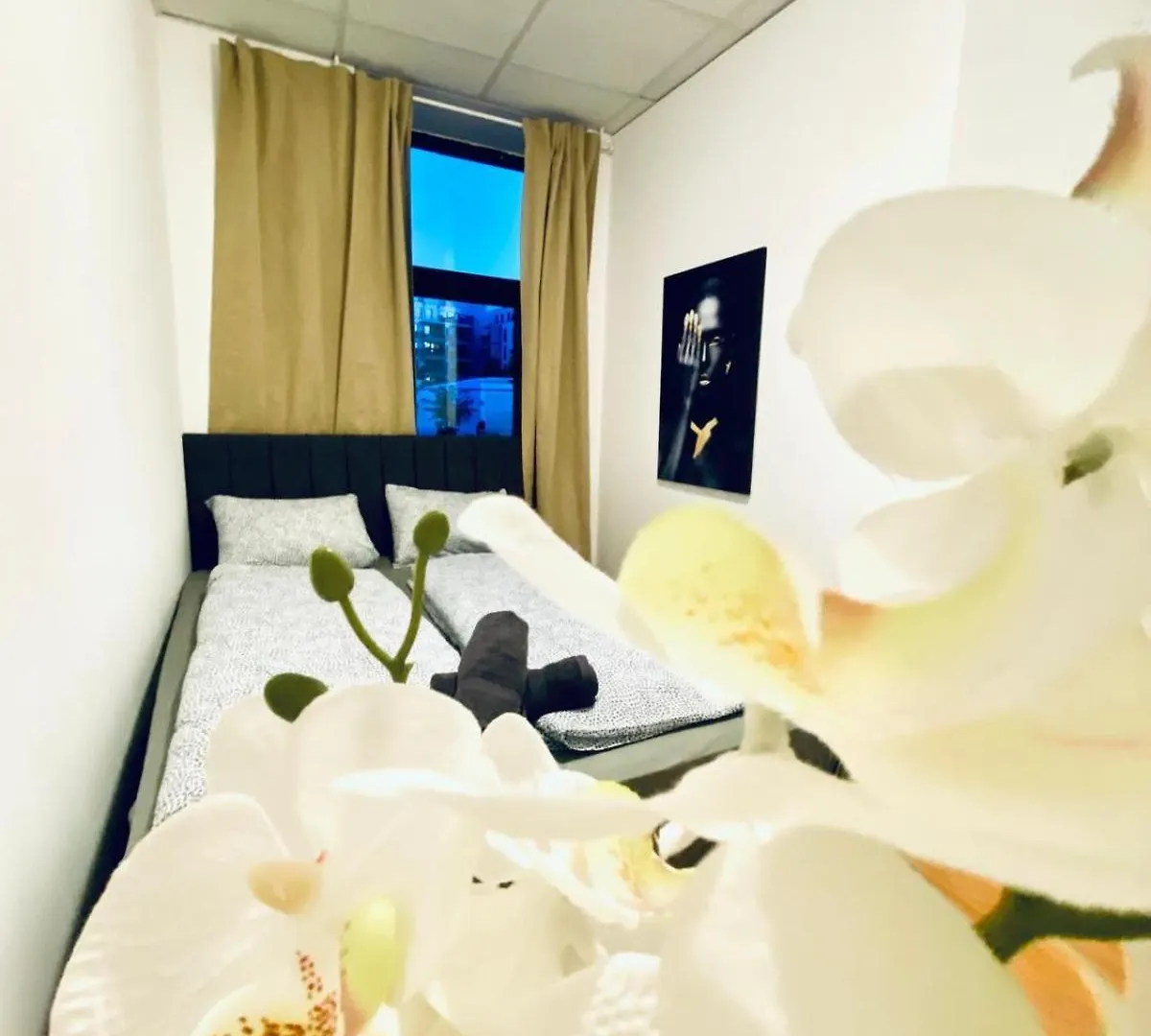 Apartment Affordable 3Bedroom Apt In Quiet Neighborhood Vienna Austria
