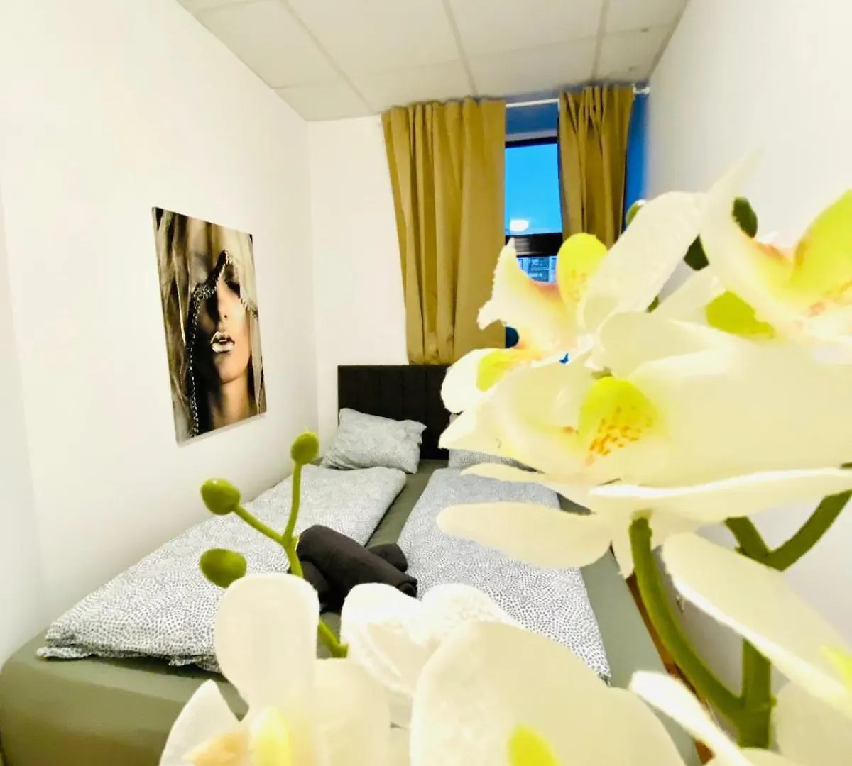 Affordable 3Bedroom Apt In Quiet Neighborhood Vienna Apartment